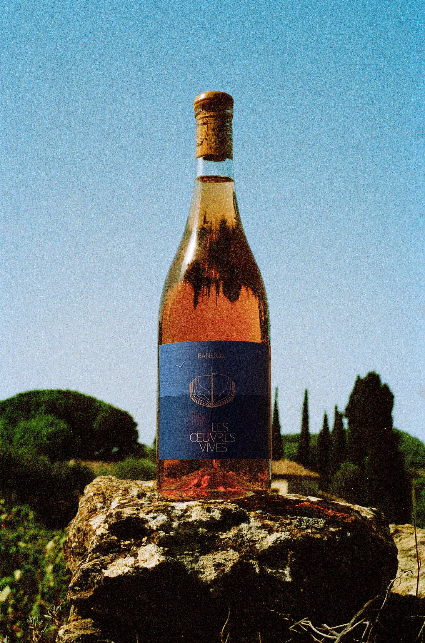 Bandol rosé 2023